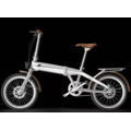 Folding E Bike/Foldable Electric Bicycle 36V Motor Life Electric Bike Folding